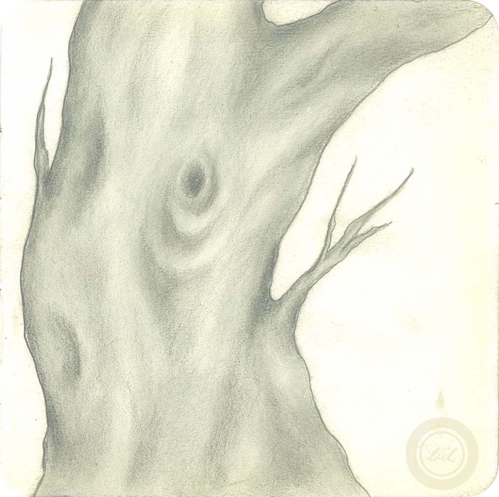 Dramatic close-up of dark charcoal strokes on thick white artisanal paper showing grain and texture with harsh side lighting